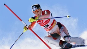 Natasa Bokal
