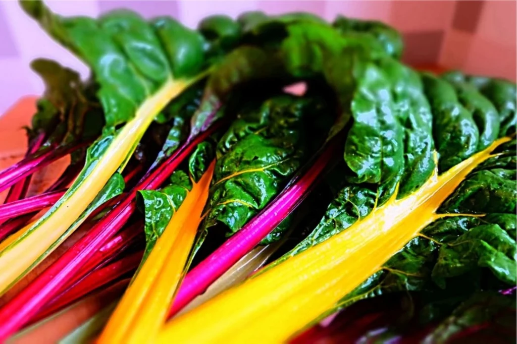 Mangold, czyli blitwa lub burak liściasty, znany i lubiany we Włoszech i Chorwacji, w Polsce właśnie zyskuje popularność