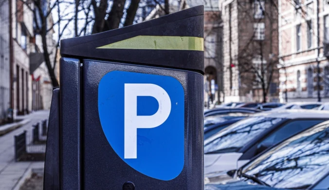 Mieszkańcy Zurychu chcą, by firmy usługowe mogły parkować na zakazach i chodnikach. Koniec przepychanek kurierów z Policją?