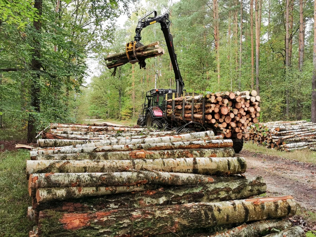 MKiŚ odpowiada na zarzuty dotyczące sytuacji finansowej LP, a także brak działań rządu i problemy z dostępnością surowca na rynku