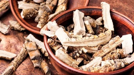 Kłącze tataraku to niezwykle ciekawy dodatek do dań 