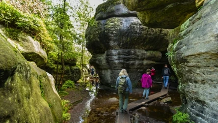 Na jeden z najpiękniejszych szlaków Gór Stołowych można wejść za darmo 