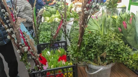 Jakie rośliny kojarzą się z wielkanocnym stołem?