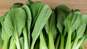 Kapusta pak choi ma delikatne liście, dlatego jest dobrą bazą do sałatek, a przy tym zawiera dużo witamin