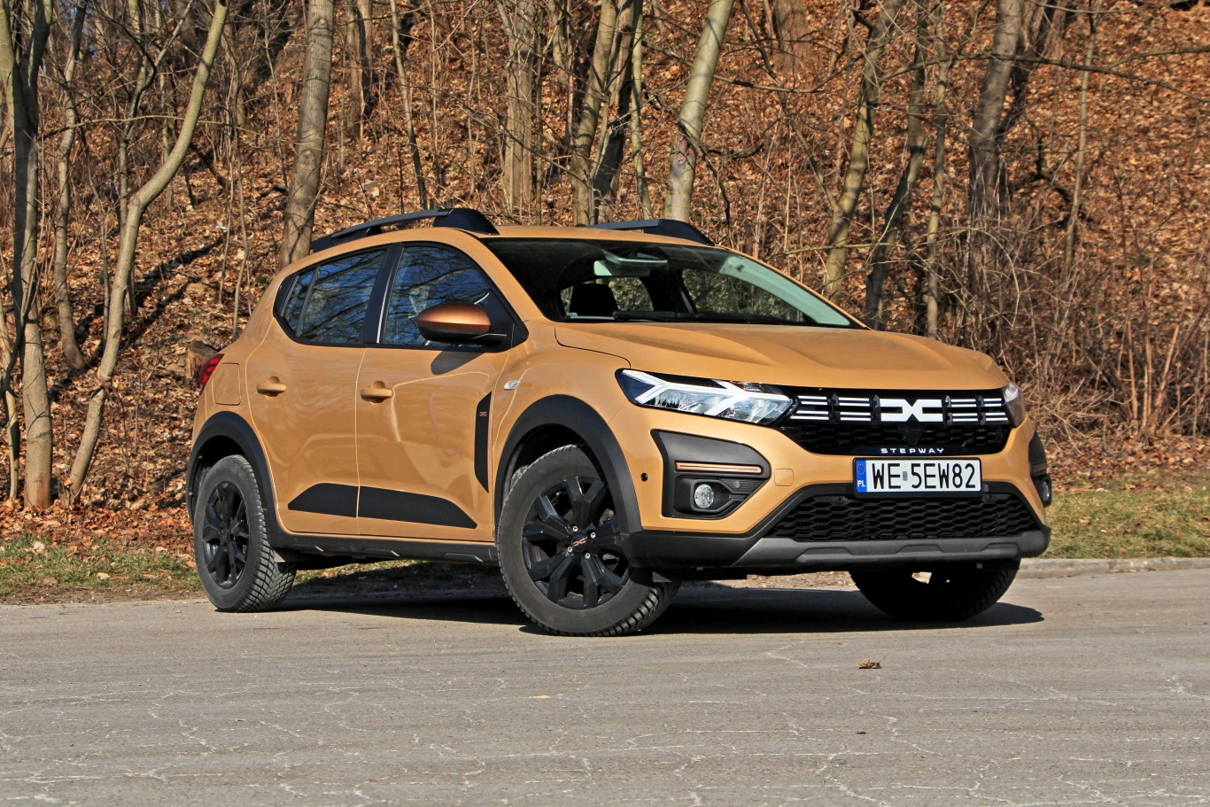 Dacia Sandero Stepway article cover