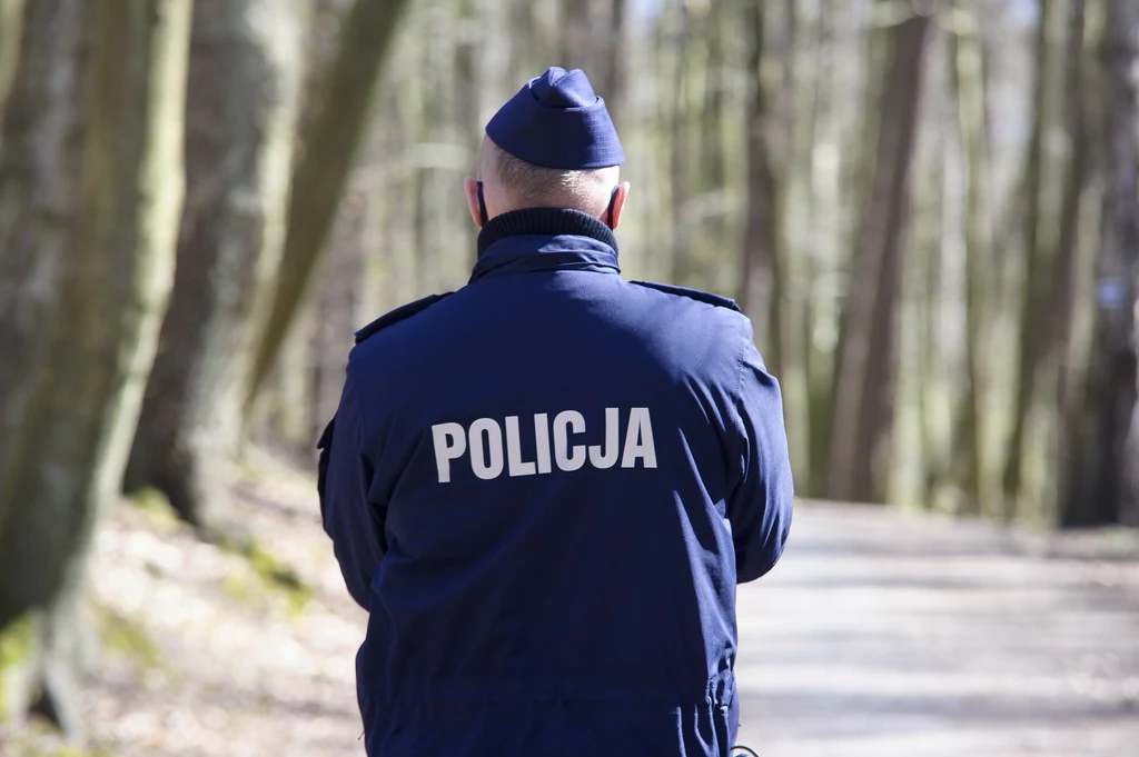 Znalezione w lesie martwe kury miały ptasią grypę - potwierdziły badania instytutu w Puławach. Policja prowadzi w tej sprawie dochodzenie