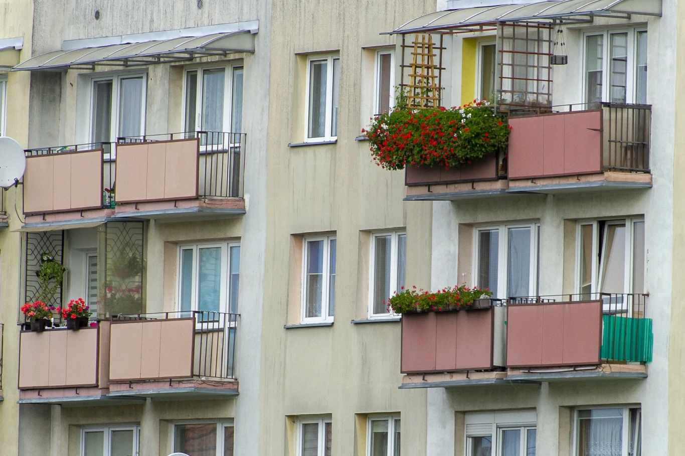 Mandat 500 zł za kwiaty na balkonie, przepisy nie stoją po stronie mieszkańców bloków Mandat 500 zł za kwiaty na balkonie, przepisy nie stoją po stronie mieszkańców bloków