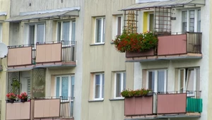 Mandat 500 zł za kwiaty na balkonie, przepisy nie stoją po stronie mieszkańców bloków
