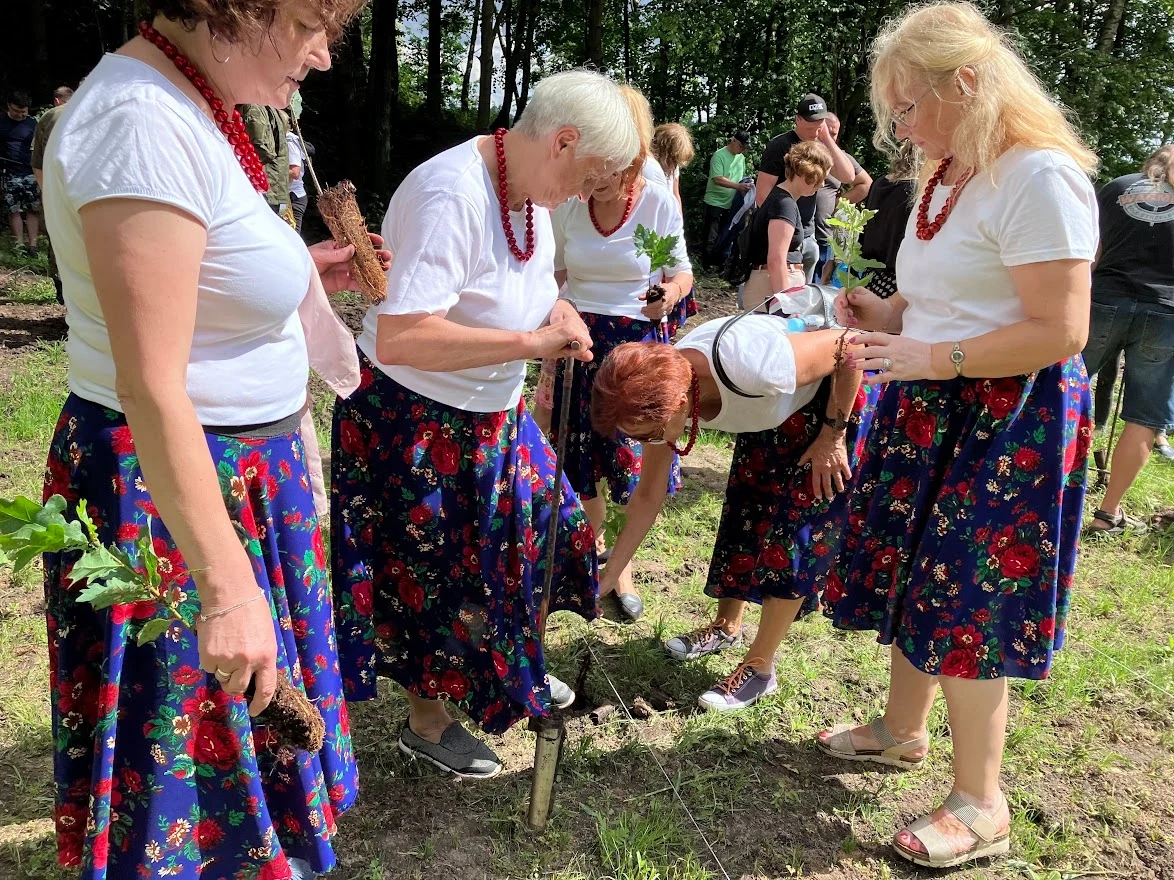 Czyste Zielone Miasta w Lidzbarku Warmińskim fot. UM Lidzbark Warmiński