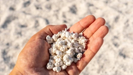 Popcorn Beach znajduje się na Wyspach Kanaryjskich w Hiszpanii