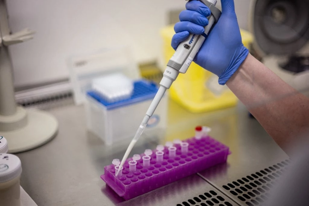 W Meksyku odnotowano pierwszy zgon w wyniku zakażenia wirusem H5N1 W Meksyku odnotowano pierwszy zgon w wyniku zakażenia wirusem H5N1