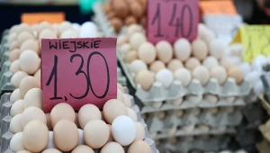 Jajka nawet o 60 proc. droższe. "Cała Europa jest w podobnej sytuacji"