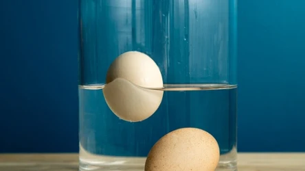 Jeśli chcesz sprawdzić, czy jajko jest świeże możesz włożyć je do szklanki z wodą 