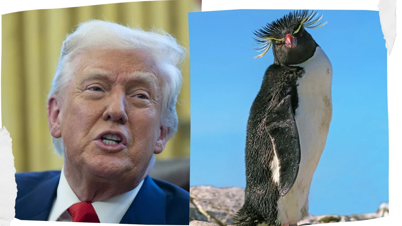 Donald Trump wypowiedział wojnę celną także pingwinom