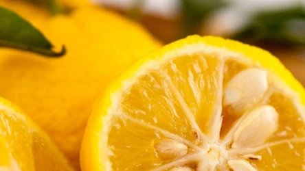 Co znajduje się w pestkach cytrusów? Czy ich zjedzenie jest niebezpieczne?