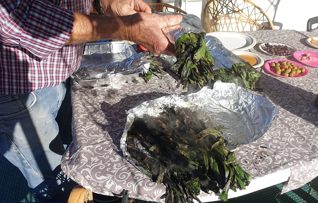 Calçots serwowane są w wielu restauracjach od stycznia do marca