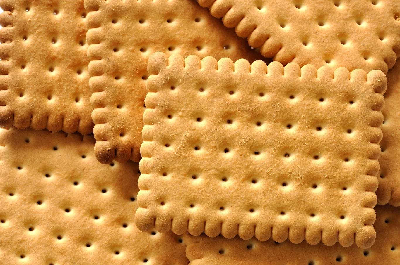 Herbatniki, krakersy czy biszkopt? Wszystkie chwyty są dozwolone, kiedy robimy sernik gotowany Zbliżenie na herbatniki maślane