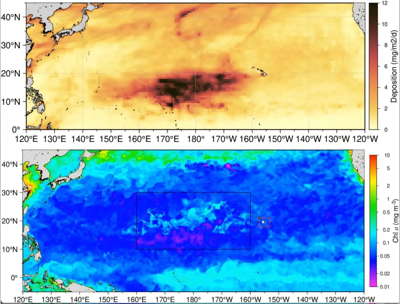 Dane satelitarne pokazują, że osadzanie się popiołu z erupcji Kīlauea (góra, ciemnobrązowy) nastąpiło w tym samym obszarze, w którym powstał masowy zakwit fitoplanktonu (dół, jasnoniebieski).