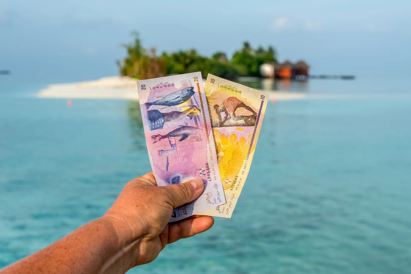 Malediwy przyciągają turystów z całego świata, którzy zachwycają się tutaj nawet malediwskimi pieniędzmi. Nazywane są "małymi dziełami sztuki".