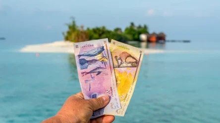 Malediwy przyciągają turystów z całego świata, którzy zachwycają się tutaj nawet malediwskimi pieniędzmi. Nazywane są "małymi dziełami sztuki".