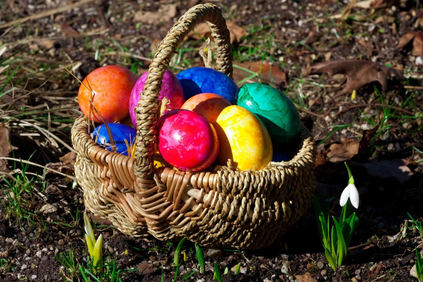 Po ugotowaniu jajek na pisanki wykorzystaj wodę z nich w jednym z rytuałów.