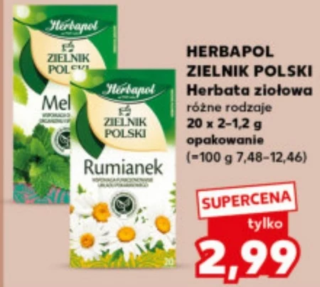 Herbapol Herbatka ziołowa-owocowa rumianek z limonką i ananasem 30 g (20 x 1,5 g)
