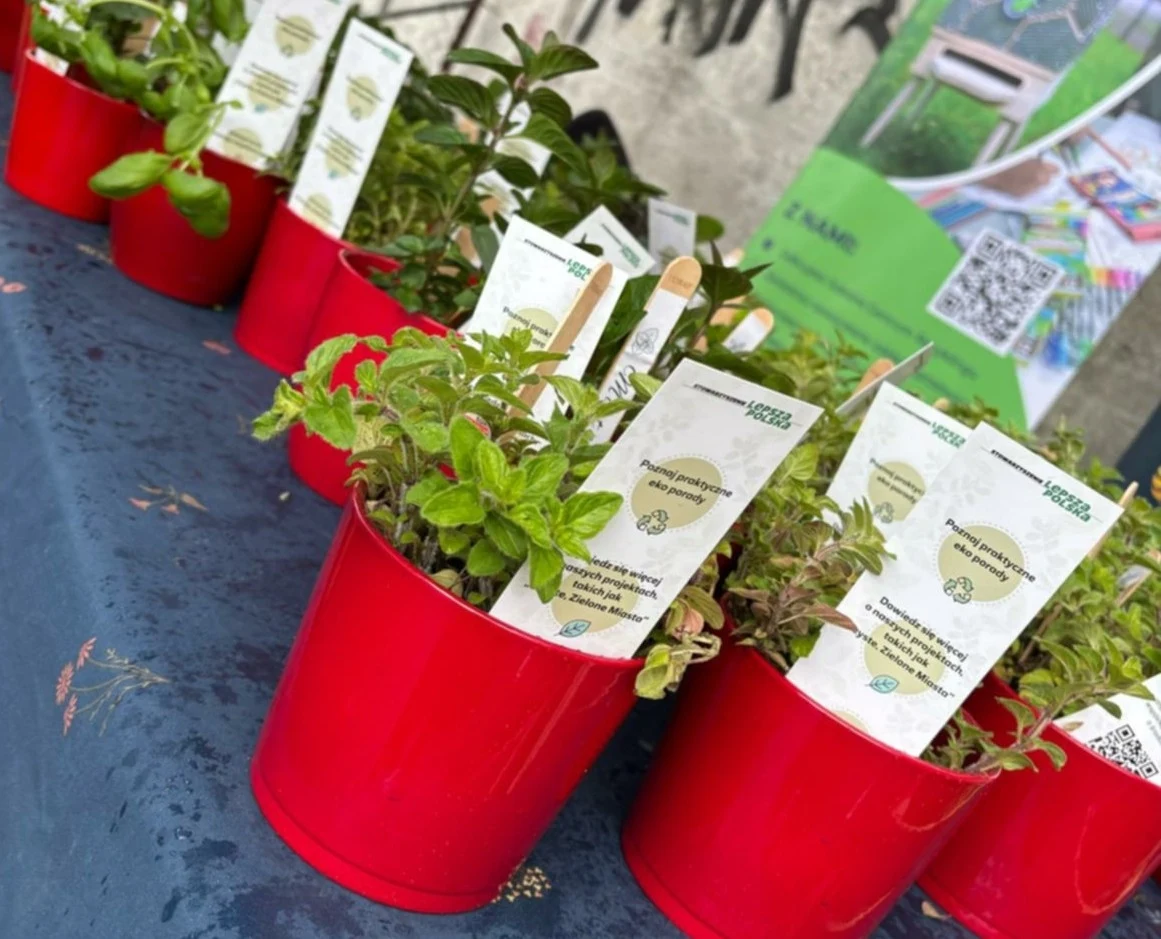 Za przyniesione elektroodpady uczestnicy zbiórki otrzymali świeże zioła w doniczce fot. Telewizja Polsat