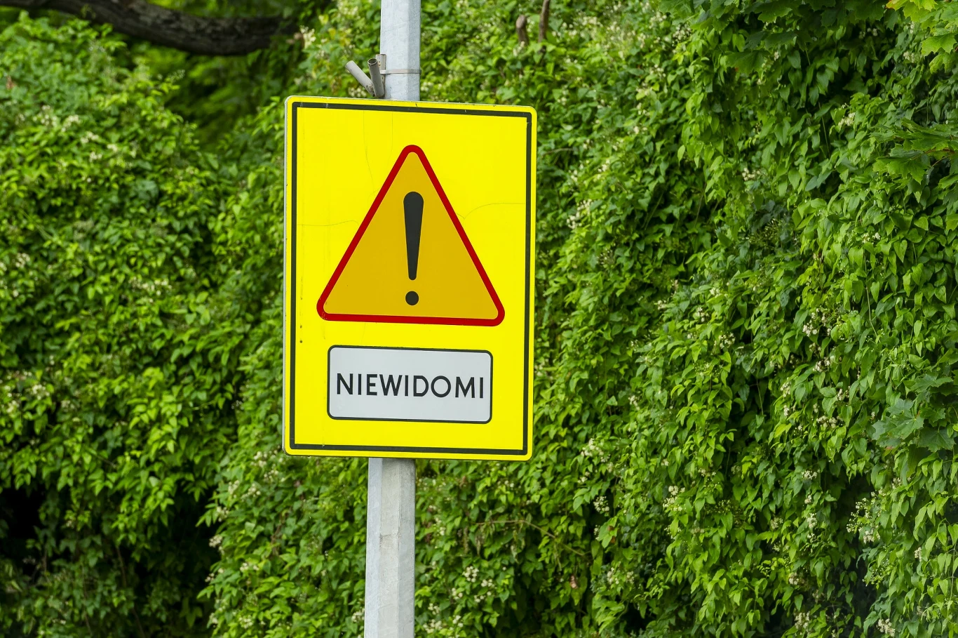  W Polsce o obecności na drodze osób niewidomych informuje znak A-30 wraz z tabliczką