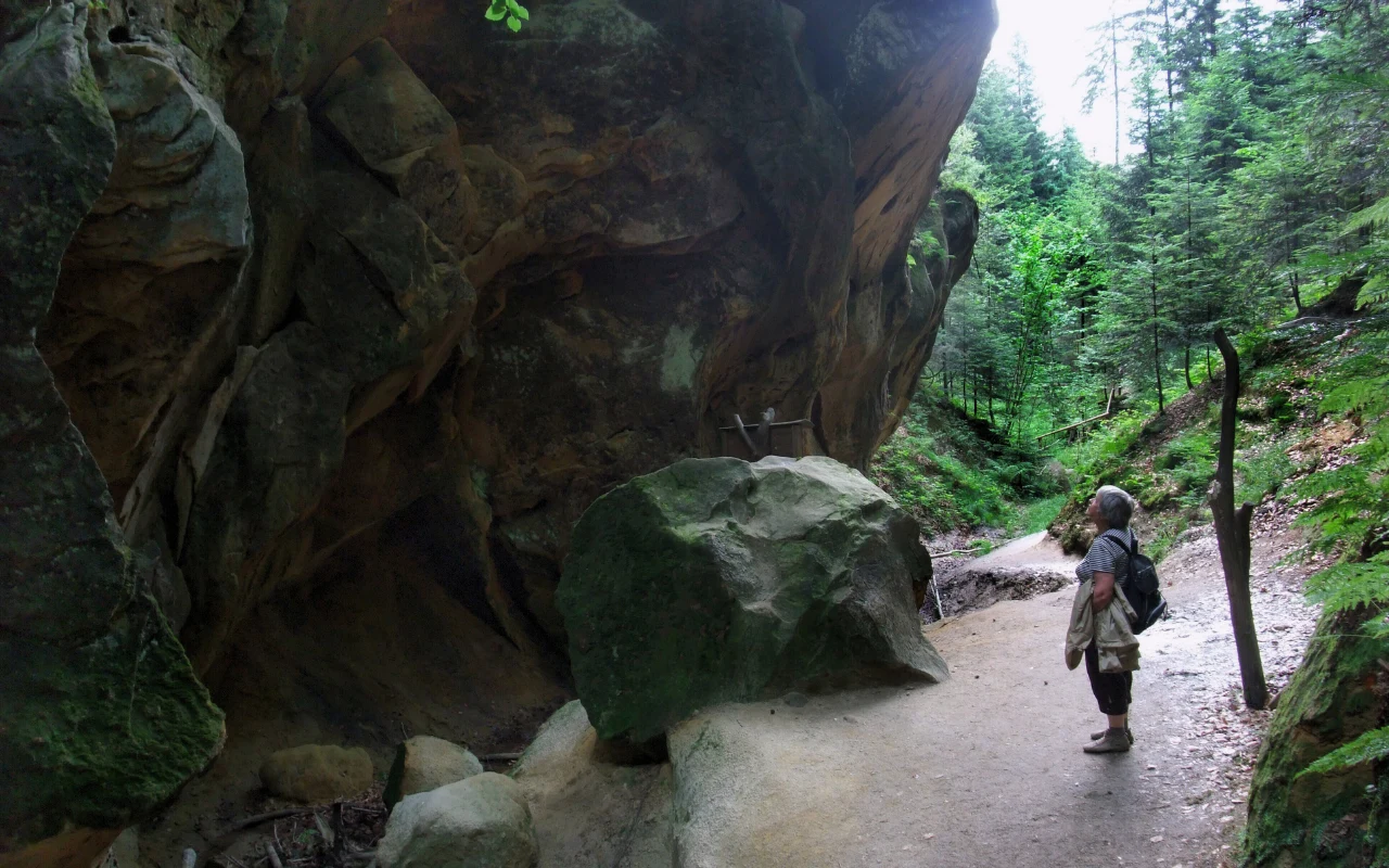 Wąwóz Czarownic w Ciężkowicach to atrakcyjna propozycja na wiosenny spacer. Przypadnie do gustu zarówno dzieciom, jak i dorosłym.