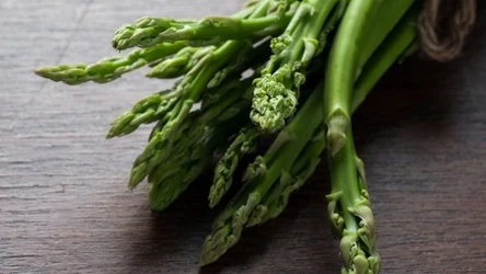 Odpowiednio zrobione szparagi są chrupiące i bardzo zdrowe 