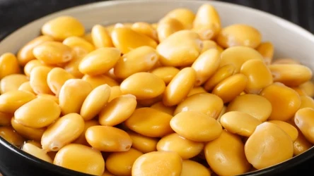 Jest mniej znany od ciecierzycy, ale równie pożywny i zdrowy.