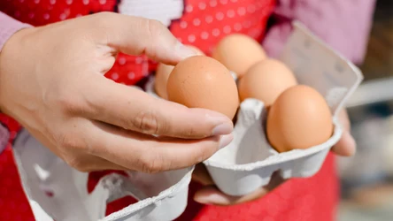 Jak szybko sprawdzić świeżość jajek?