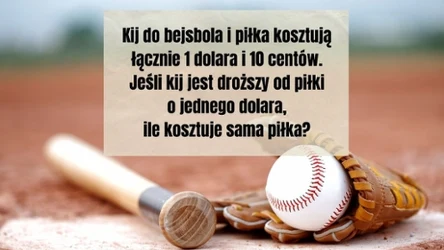 Odkryj swoje IQ. Wystarczy, że odpowiesz na to jedno proste pytanie