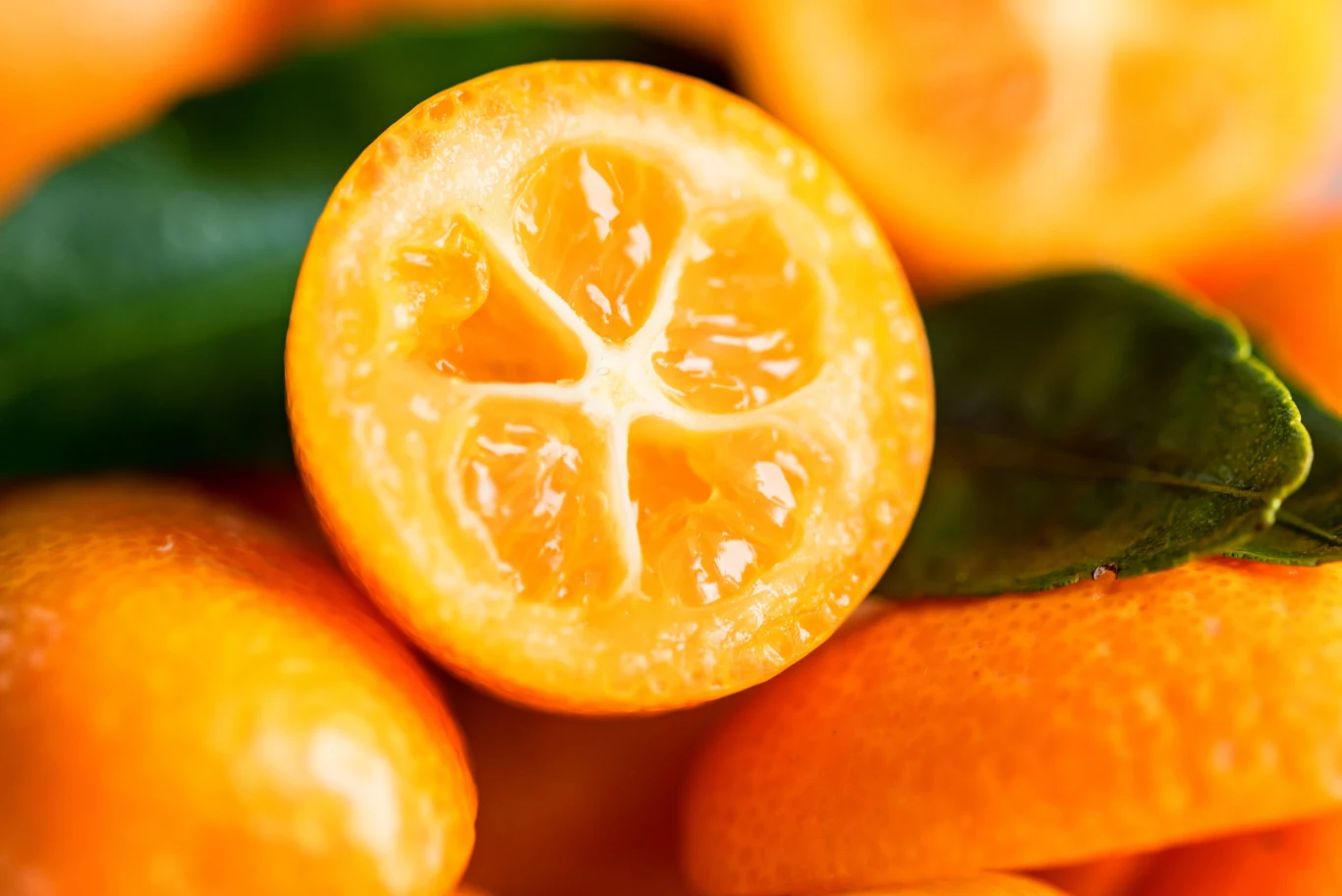 Małe owoce można zajadać w całości Kumkwat to soczysty specjał o nietuzinkowym smaku