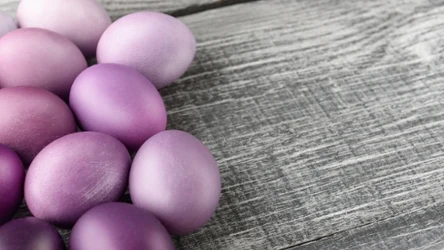 Fioletowe pisanki będą piękną ozdobą koszyczka wielkanocnego. 