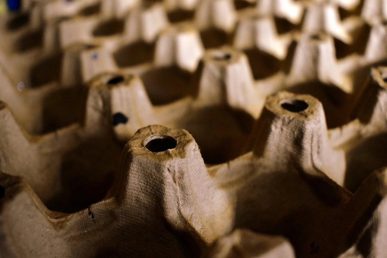 pixabay.com/ grom900 Kartonowe opakowanie na jajka ukazane z bliska, zwracające uwagę na teksturę i strukturę materiału.