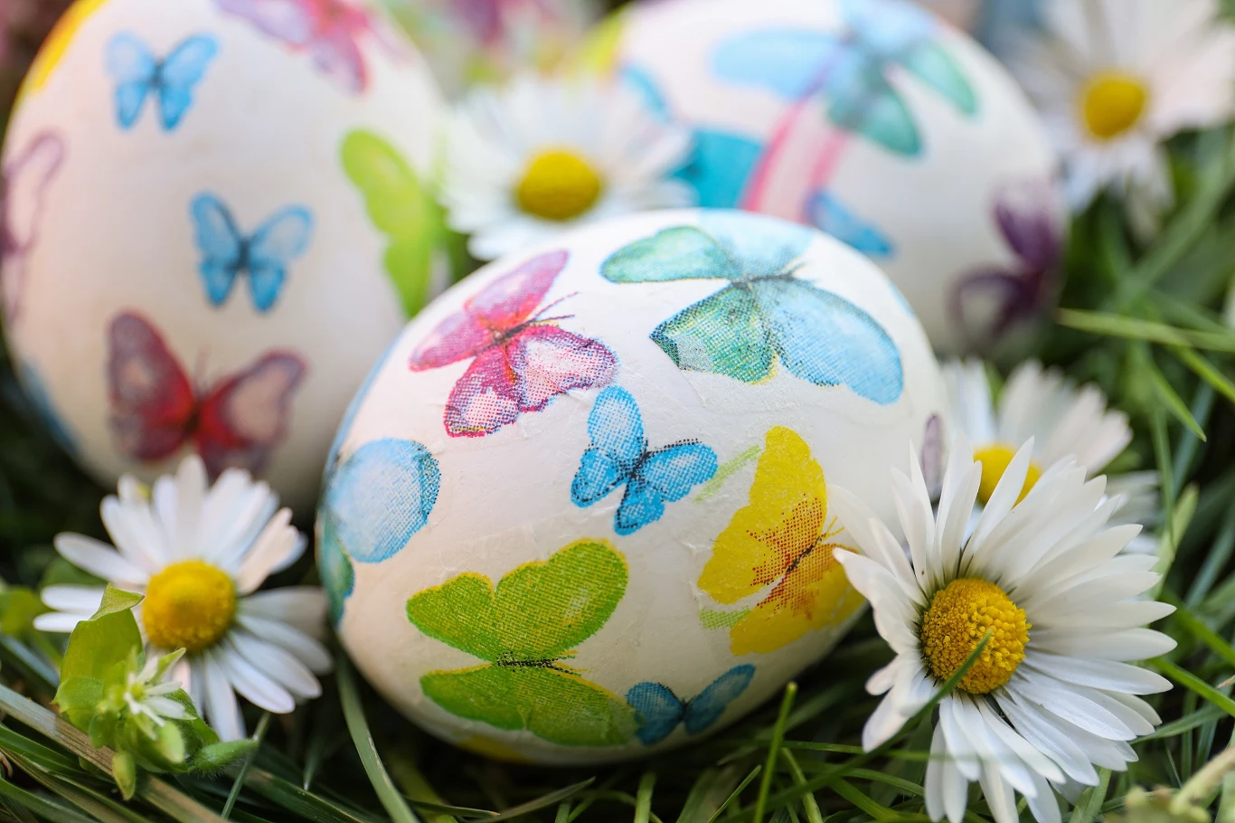 Jak szybko i łatwo zrobić piękne pisanki na Wielkanoc? Jak szybko i łatwo zrobić piękne pisanki na Wielkanoc?