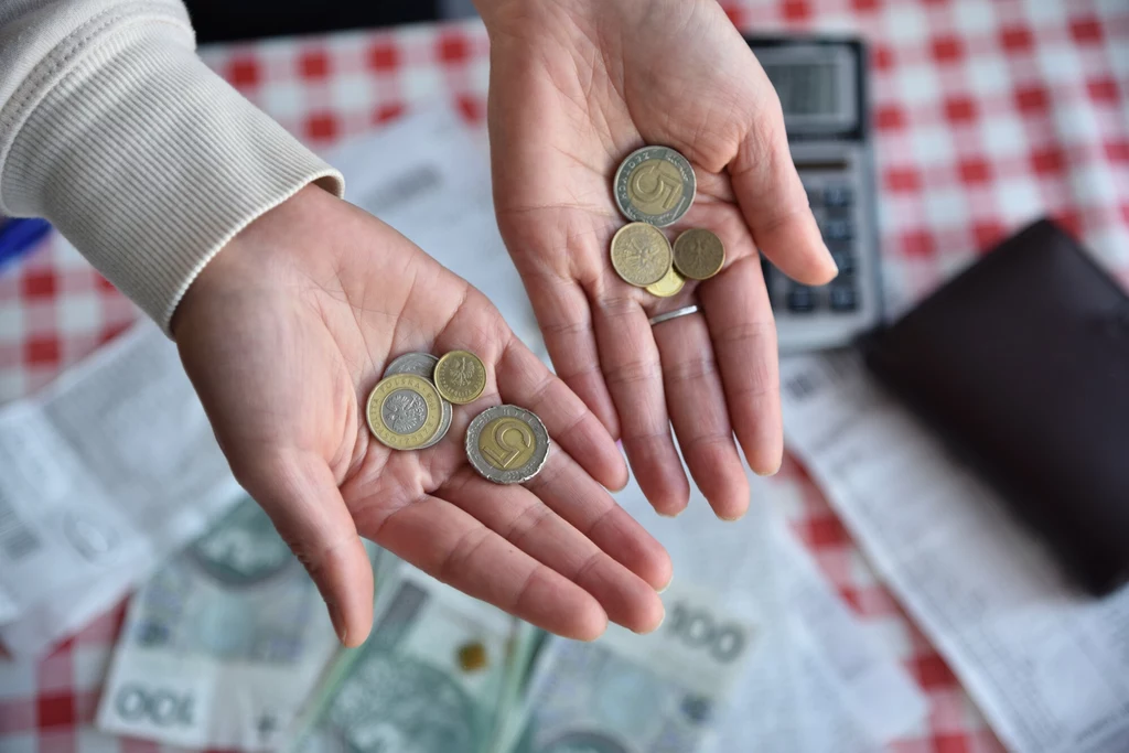 NBP wprowadza do obiegu nowe monety. Niecodzienne nominały i kształt to tylko początek