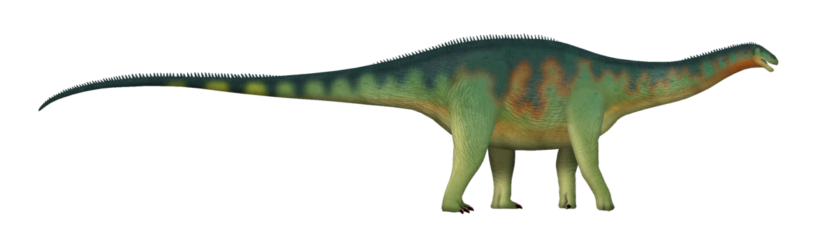 Tak mógł wyglądać Cienciargentina z Argentyny Dinozaur o długiej szyi i ogonie, z zielonkawo-brązowym umaszczeniem, stoi na czterech nogach. Jego skóra jest pokryta delikatnym wzorem w odcieniach zieleni i brązu.