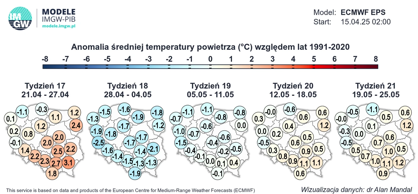 Koniec kwietnia i początek maja zapowiadają się na wyraźnie chłodniejszy, niż zazwyczaj Wizualizacja przedstawia mapę Polski z oznaczeniem anomalii średniej temperatury powietrza w stopniach Celsjusza w stosunku do lat 1991-2020. Mapa podzielona jest na tygodnie i zawiera temperatury dla poszczególnych regionów.