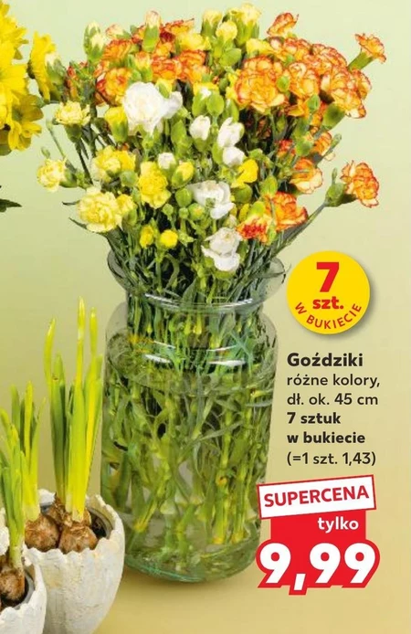 Goździki