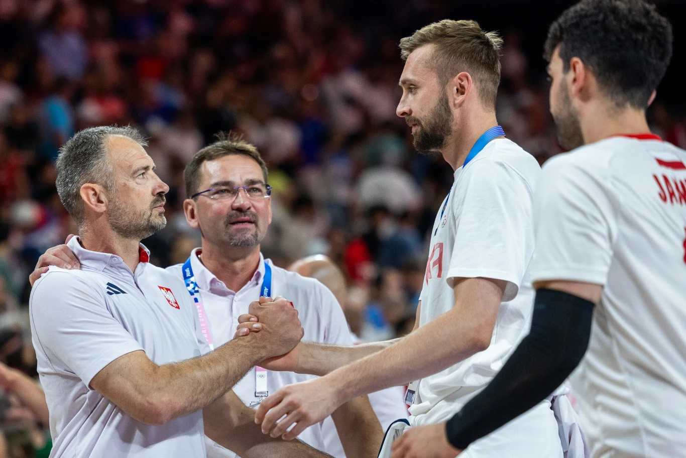 Od lewej: Nikola Grbić, Sebastian Świderski, Mateusz Bieniek i Marcin Janusz