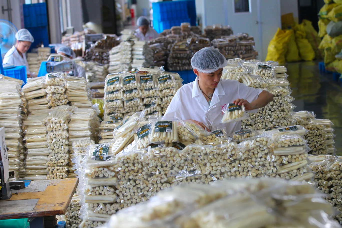 Pracownicy fabryki pakujący duże ilości produktów spożywczych w plastikowe torebki. Na każdym opakowaniu widoczna jest etykieta. W tle stosy towarów i pojemniki używane do składowania.