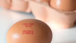 Wiesz, co oznaczają literki na jajkach? Te pieczątki nie są bez znaczenia