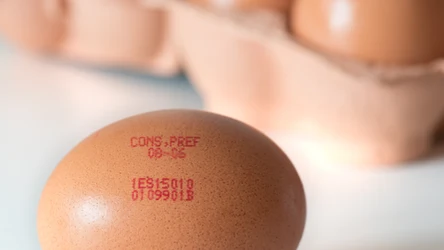 Czerwone oznaczenia na jajkach w sklepie mają ważne znaczenie. Jakie informacje można z nich wyczytać?