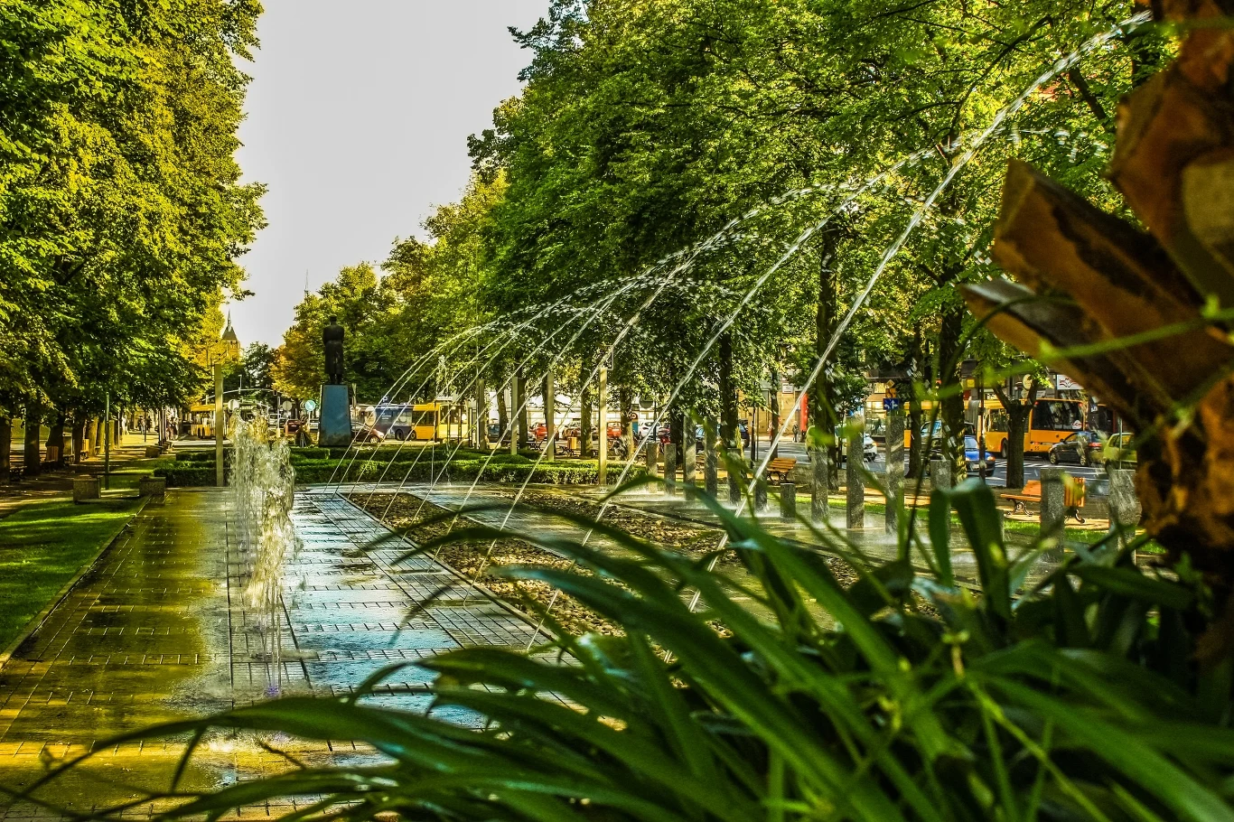 Fontanna w parku otoczonym drzewami, z tryskającymi strumieniami wody, wokół widać zieleń i spacerujących ludzi.