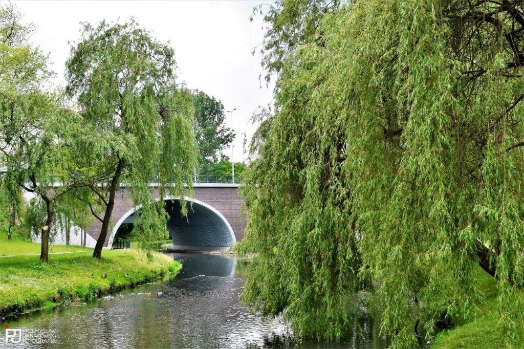 Most łukowy nad rzeką otoczony bujną roślinnością i drzewami, w tym dużymi wierzbami. Woda płynie spokojnie, odbijając otaczającą ją zieleń. Pogodna atmosfera wskazuje na spokojne i naturalne środowisko.