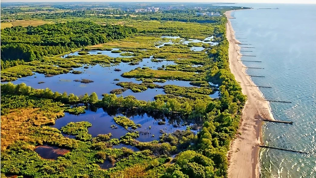 Liniowy krajobraz z widokiem z lotu ptaka na wybrzeże z plażą i przypływającym morzem po prawej stronie, a obszarami zieleni i niewielkimi zbiornikami wodnymi po lewej. W tle rozciąga się zielony teren prowadzący do dalszych zabudowań.
