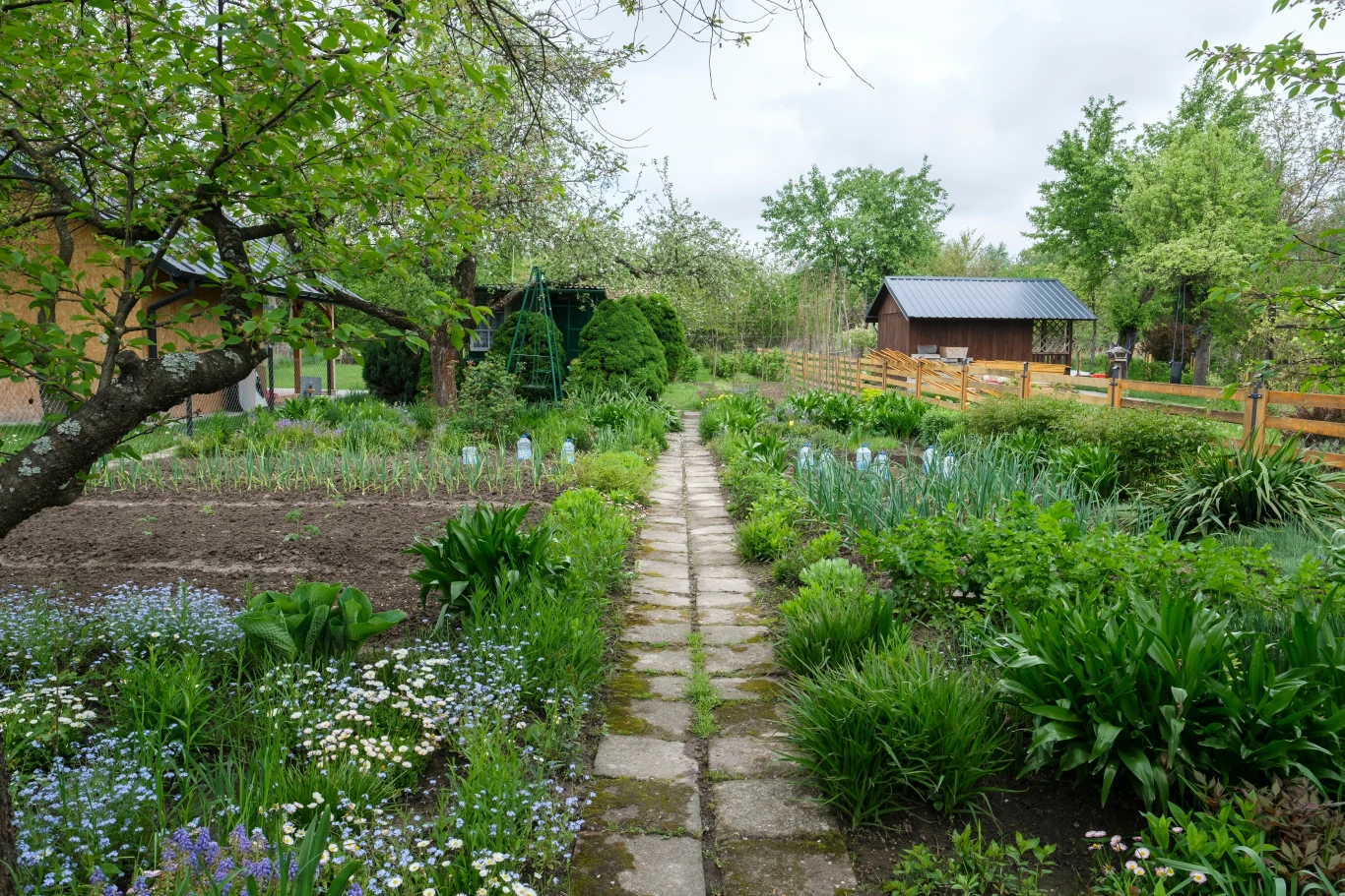 Działka ROD Działka ROD