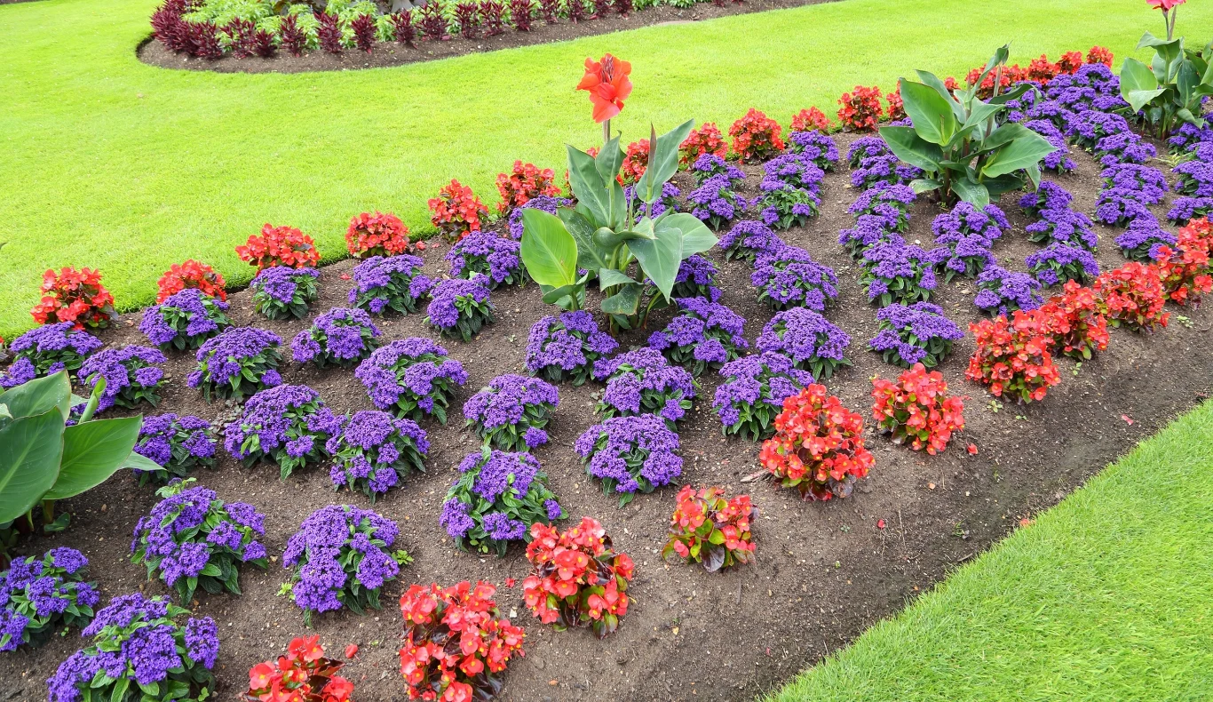 Kolorowy klomb składający się z różnorodnych kwiatów w odcieniach fioletu, czerwieni i pomarańczu, otoczony zieloną trawą. Kwiaty są starannie wypielęgnowane i ułożone w geometryczne wzory.